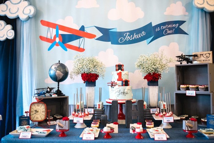 time flies first birthday party theme