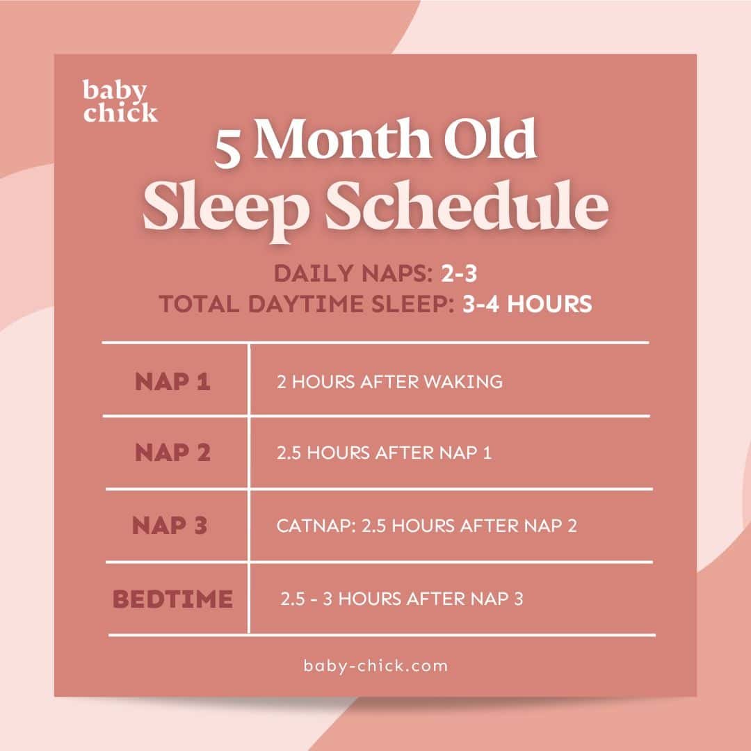 Gráfico do horário de sono de 5 meses de idade