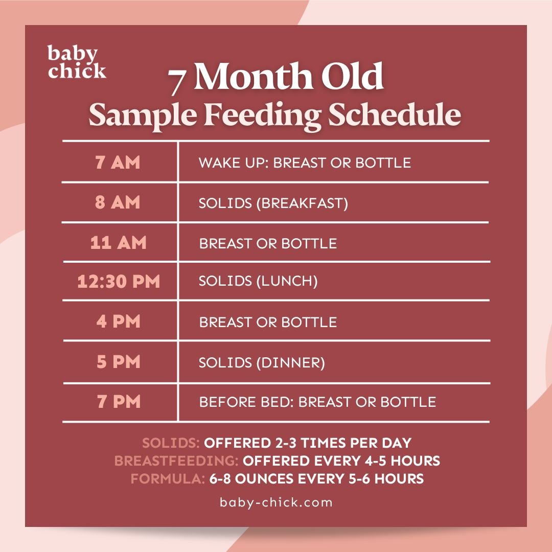 Exemplo de gráfico de cronograma de alimentação para bebês de 7 meses