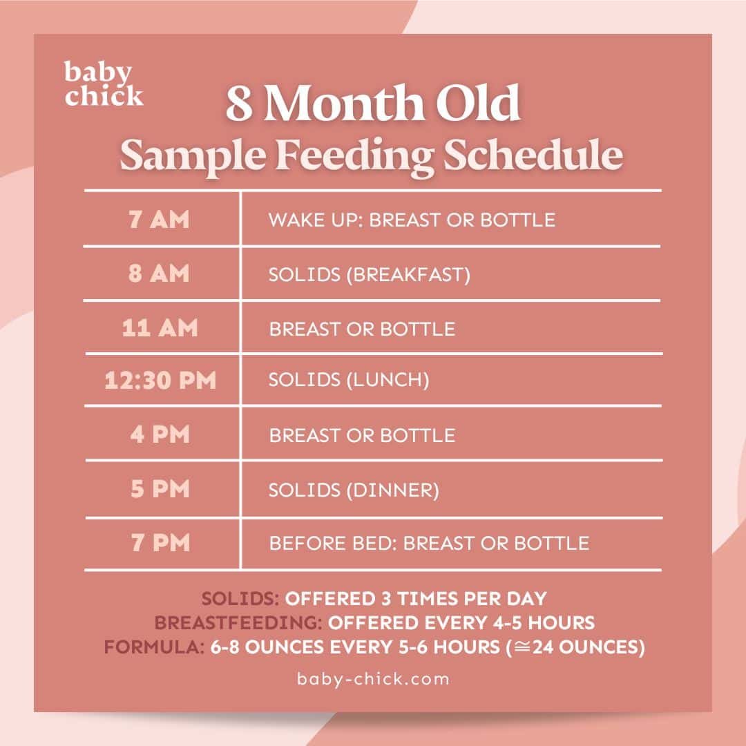 Exemplo de cronograma de alimentação para bebês de 8 meses