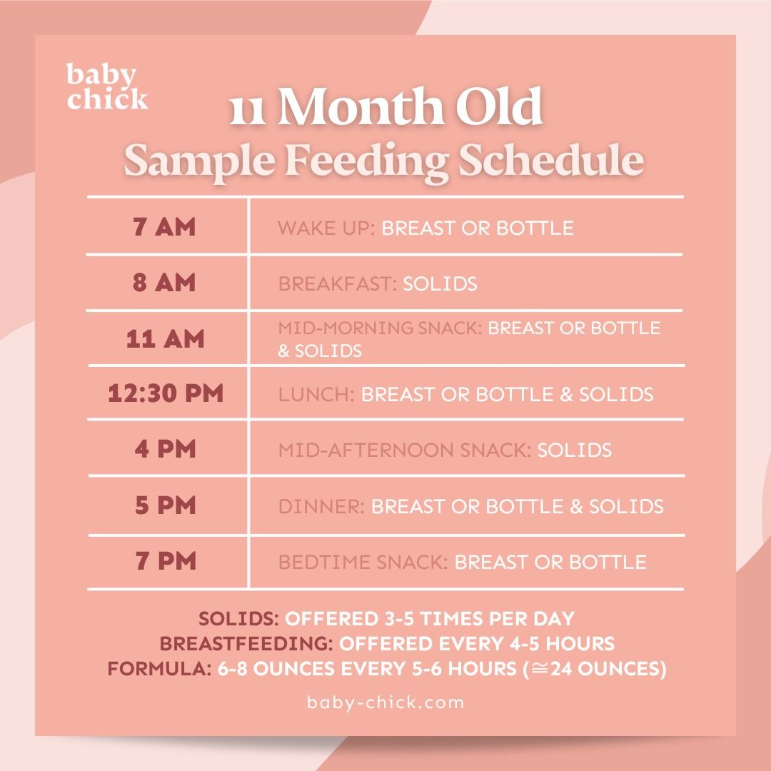 Exemplo de cronograma de alimentação para bebês de 11 meses