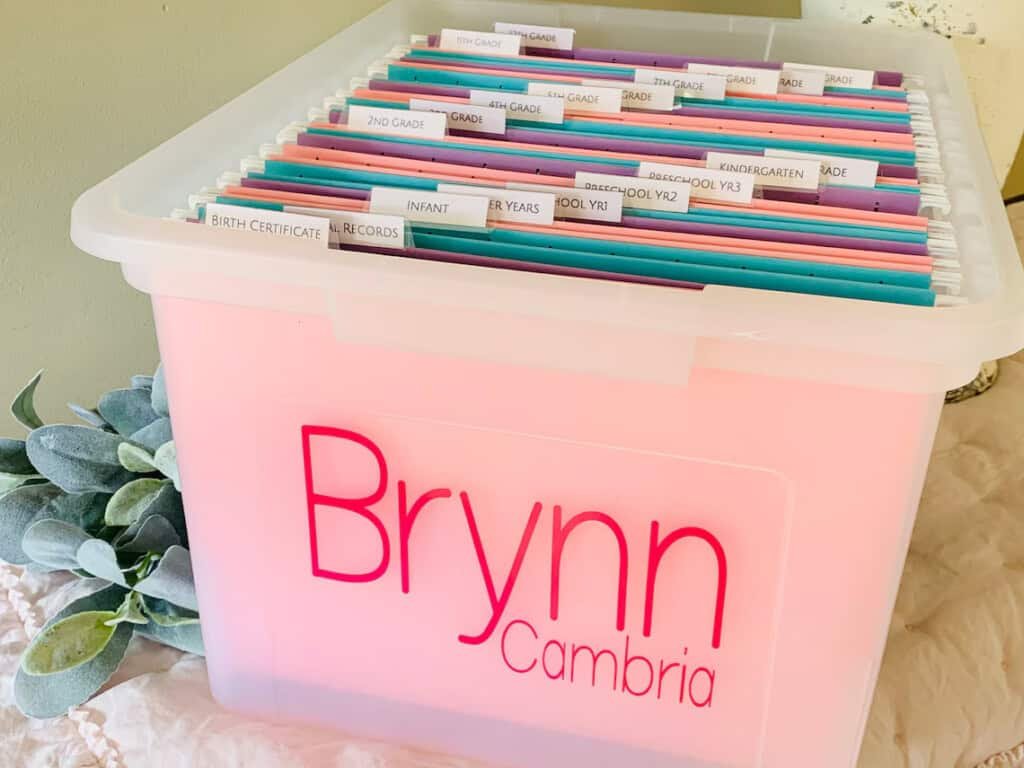 Uma lixeira de plástico etiquetada Brynn Cambria contém um conjunto de pastas de arquivo organizadas. Cada pasta é individualmente etiquetada com etiquetas para diferentes anos escolares, variando de Infantil a 12ª série, incluindo Certidão de Nascimento e outros registros. Uma pequena planta está próxima.