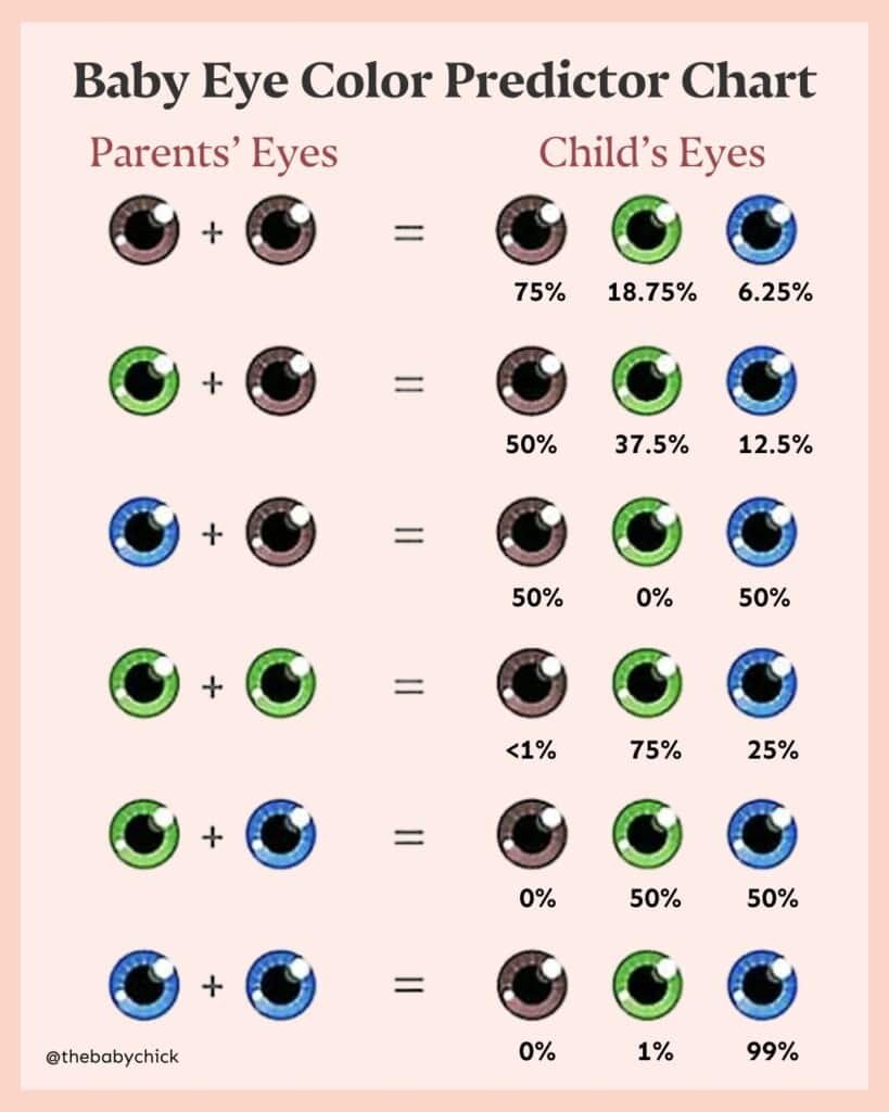 Um gráfico intitulado Baby Eye Color Predictor Chart mostrando as probabilidades da cor dos olhos de uma criança com base nas cores dos olhos dos pais. Ele lista combinações de olhos castanhos, verdes e azuis com chances percentuais correspondentes para as possíveis cores dos olhos de bebê da criança e quando os olhos dos bebês mudam de cor.